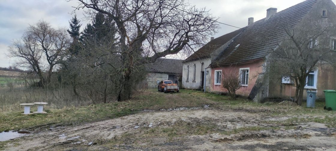 Nieruchomość komercyjna Kotowice. Zdjęcie 1