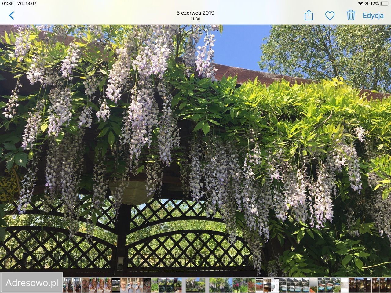 Hotel/pensjonat Rowy, ul. Bosmańska. Zdjęcie 17