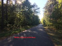 Działka rolna Żdżarki. Zdjęcie 4