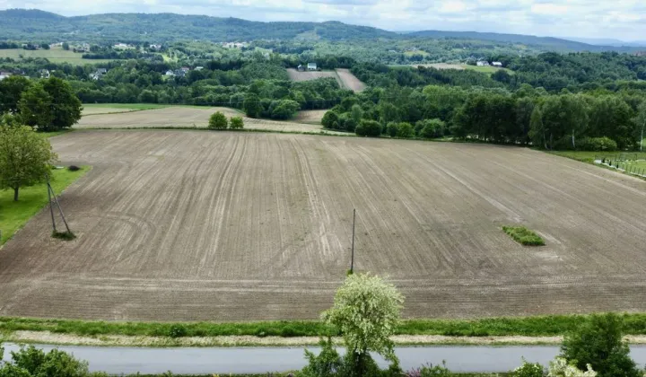 Działka budowlana Tłuczań, ul. Dworska