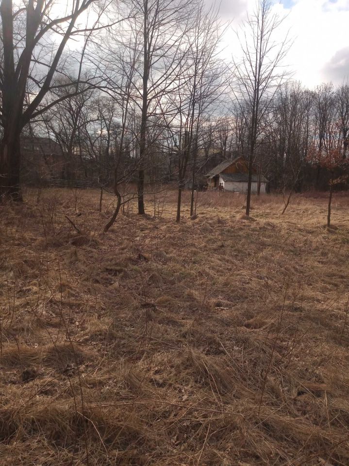 Działka rolna Bulowice. Zdjęcie 6