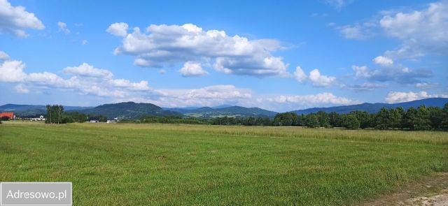 Działka budowlana Twardorzeczka, ul. Widokowa. Zdjęcie 1