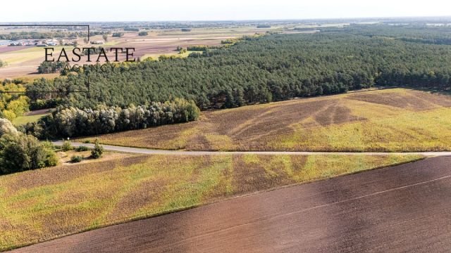 Działka leśna Maurzyce. Zdjęcie 5