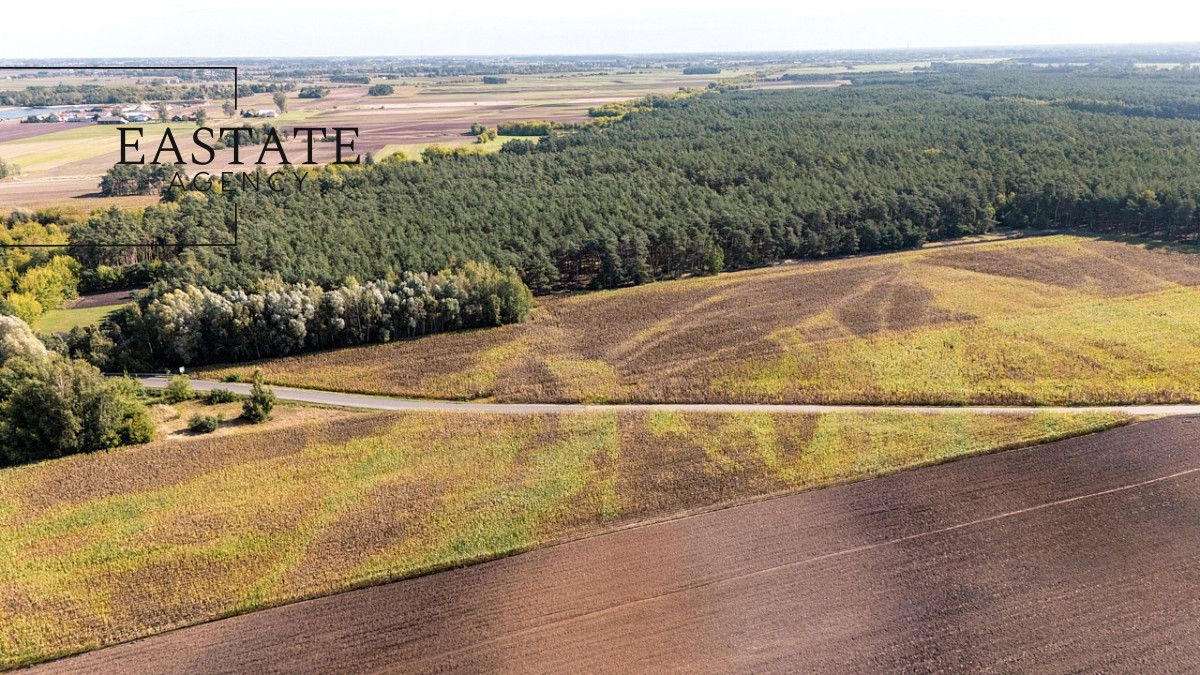 Działka leśna Maurzyce. Zdjęcie 5