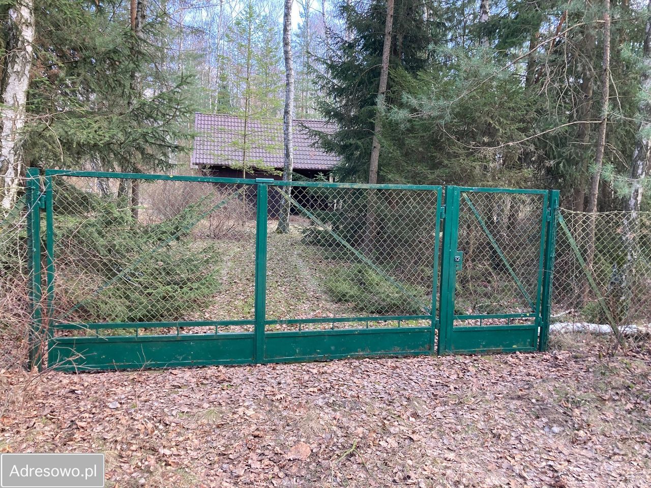 Działka budowlana Budy-Grzybek, ul. Sasanki. Zdjęcie 3