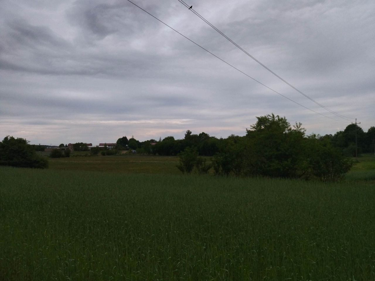 Działka budowlana Świerczyna. Zdjęcie 7