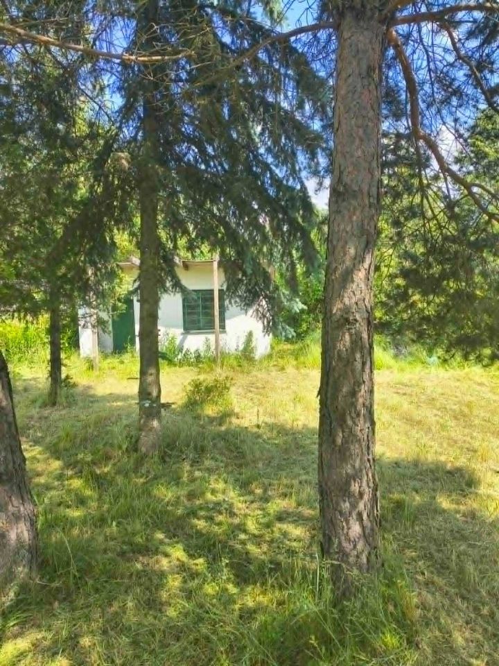 Działka rod Łódź Widzew, ul. Krokusowa. Zdjęcie 2