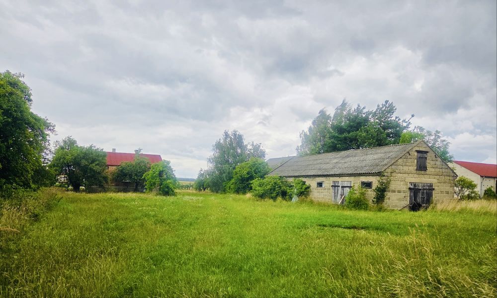 siedlisko Lipiny. Zdjęcie 5