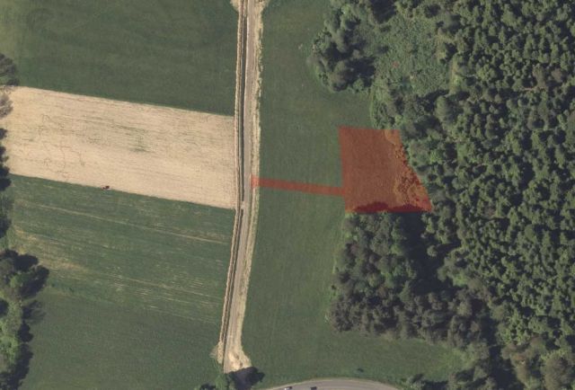 Działka rolna Berezka. Zdjęcie 10