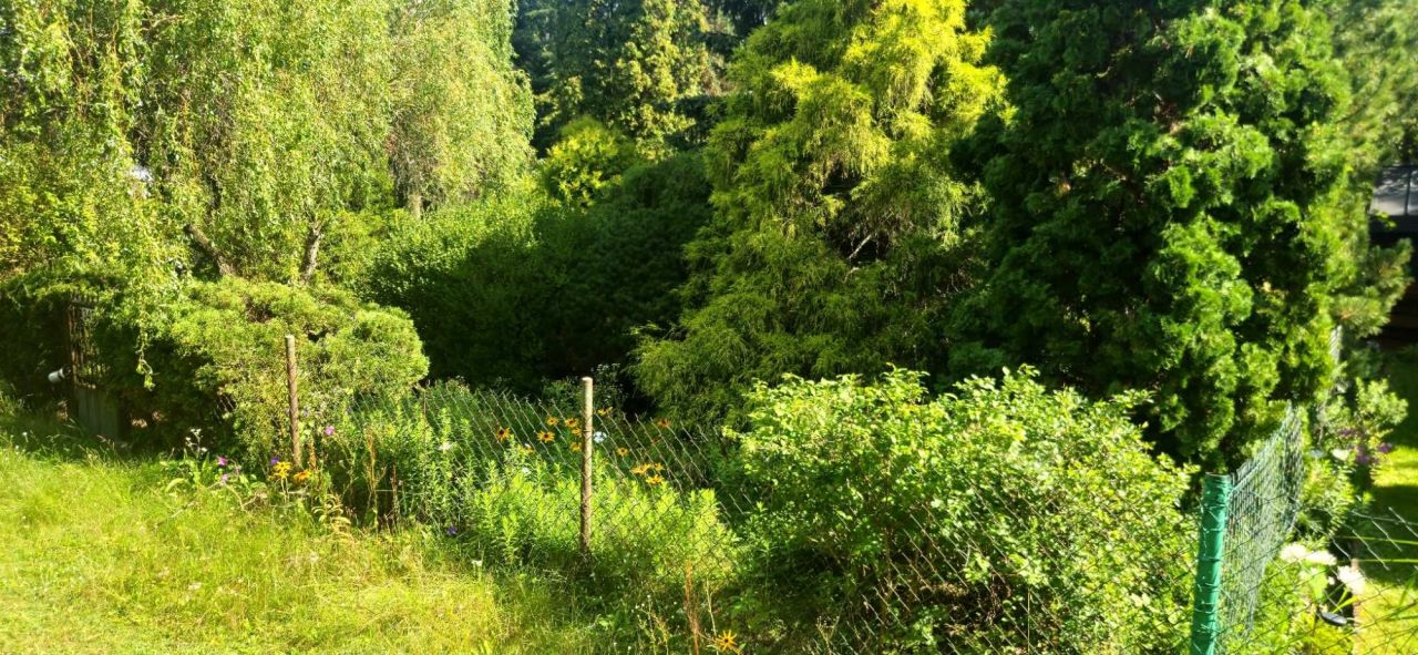 Działka rod Warszawa Białołęka, ul. Ornecka. Zdjęcie 7