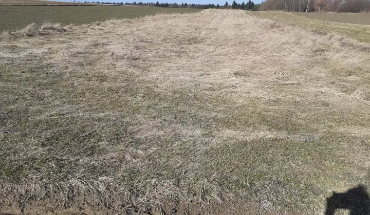 Działka rolna Skała