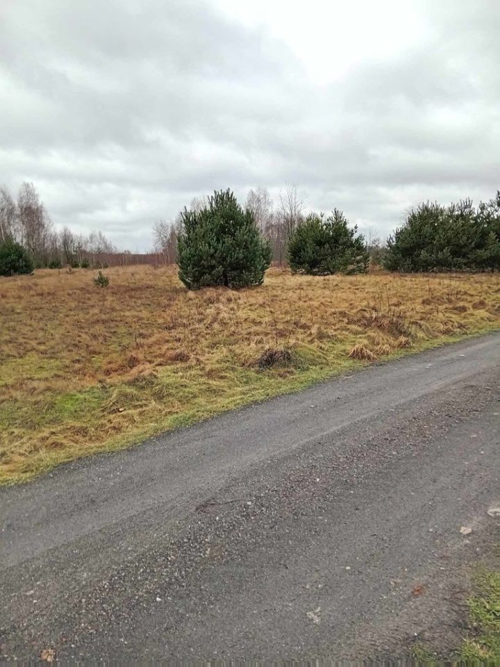 Działka rolna Nowe Kozłowice. Zdjęcie 2