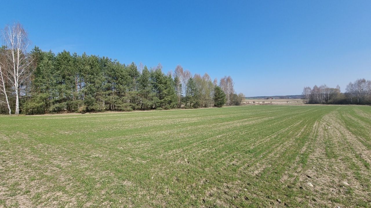 Działka rolna Wólka Ratowiecka. Zdjęcie 5