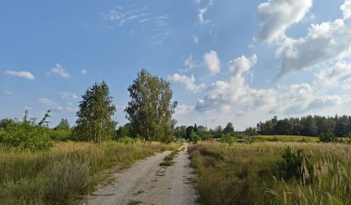 Działka budowlana Dalny Las