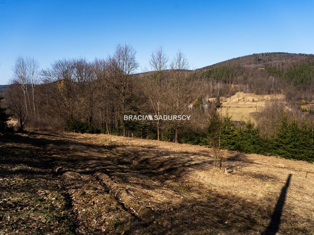 Działka budowlana Stróża. Zdjęcie 19