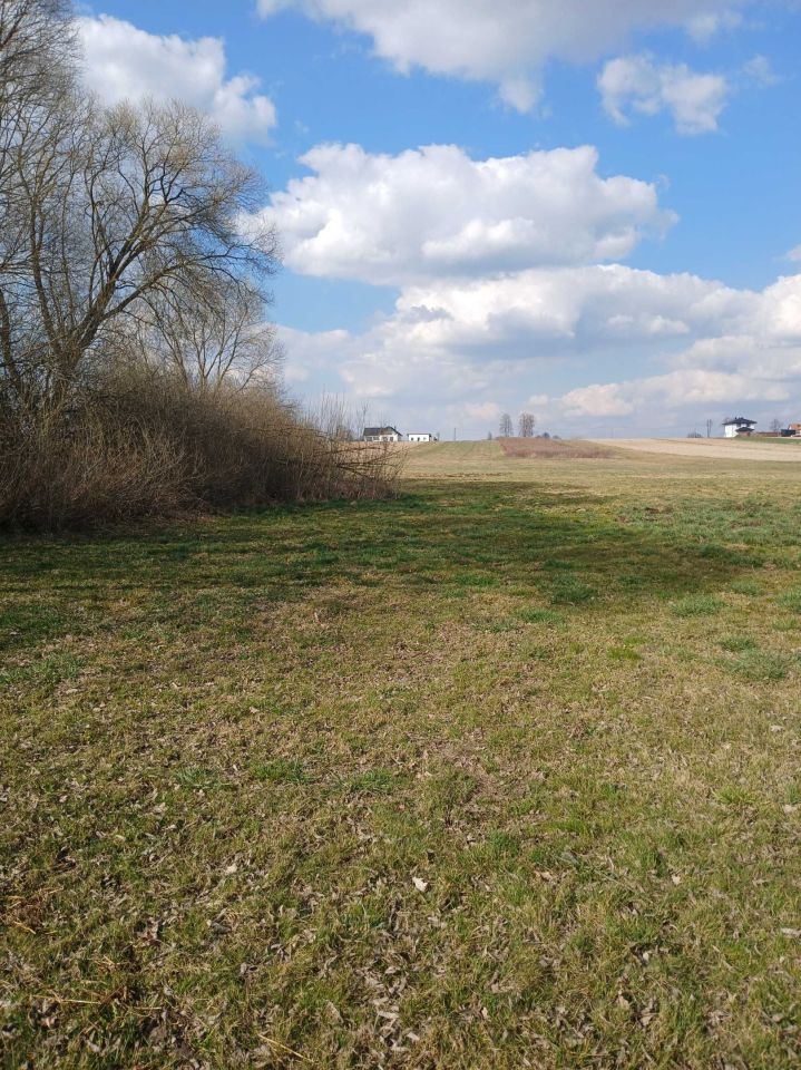 Działka rolno-budowlana Łukowiec. Zdjęcie 3