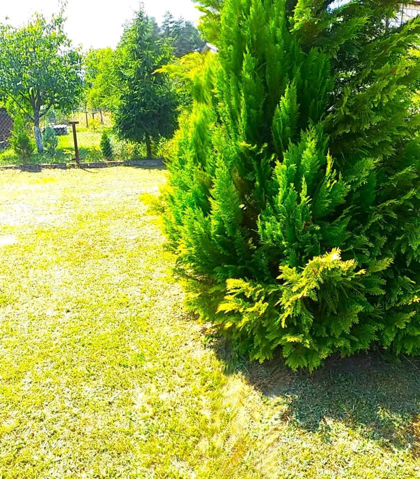 dom wolnostojący, 5 pokoi Czeremcha. Zdjęcie 7