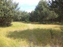 Działka siedliskowa Rędziny. Zdjęcie 1