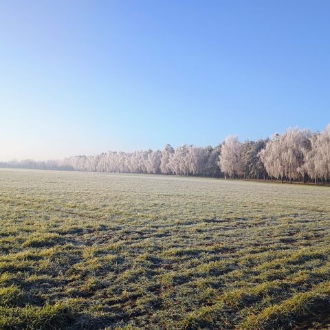 Działka budowlana Gaj Wielki, ul. Bukowska. Zdjęcie 1
