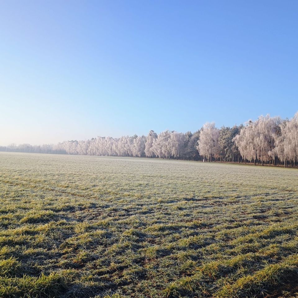 Działka budowlana Gaj Wielki, ul. Bukowska