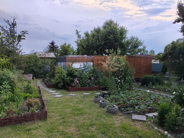 Działka rod Poddębice. Zdjęcie 1