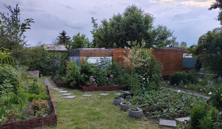 Działka rod Poddębice