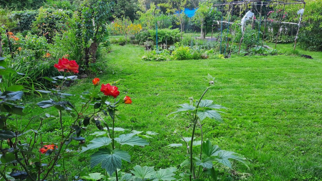 Działka rod Szczecin Centrum. Zdjęcie 3