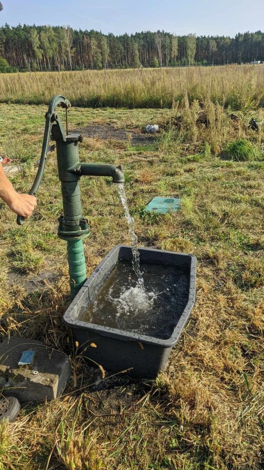 Działka rolno-budowlana Skwirynowo. Zdjęcie 2