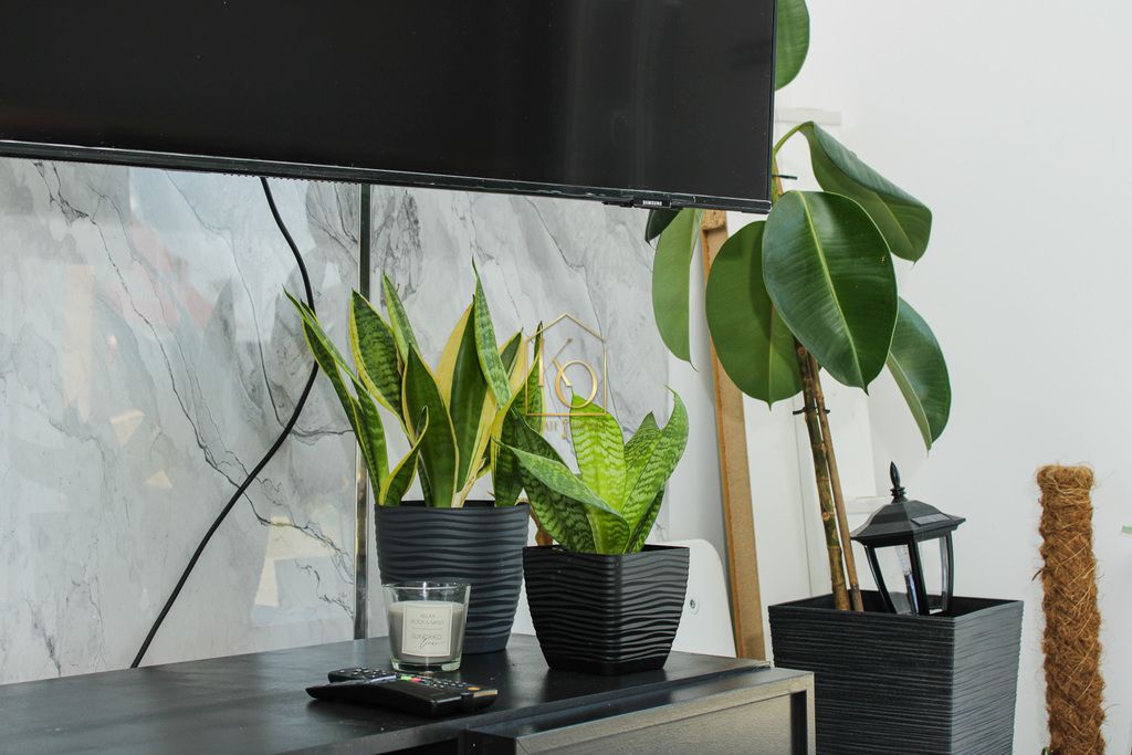 bliźniak, 4 pokoje Brzeg Rataje, ul. Filozofów. Zdjęcie 3