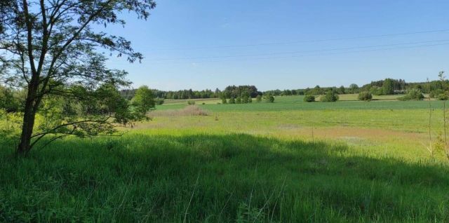 Działka siedliskowa Janów. Zdjęcie 1