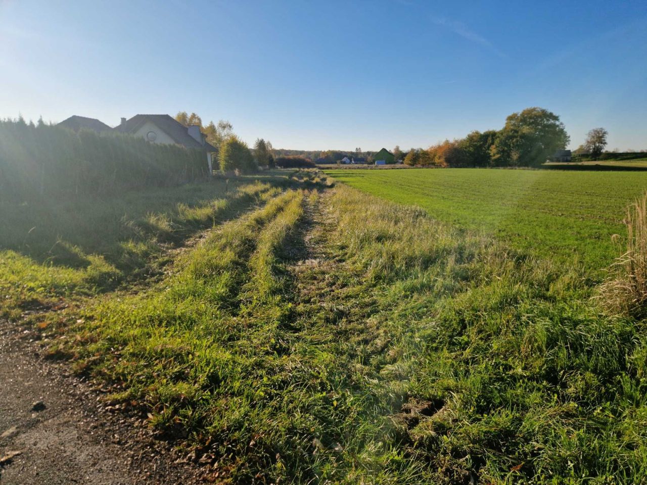 Działka rolno-budowlana Las, ul. Słoneczna