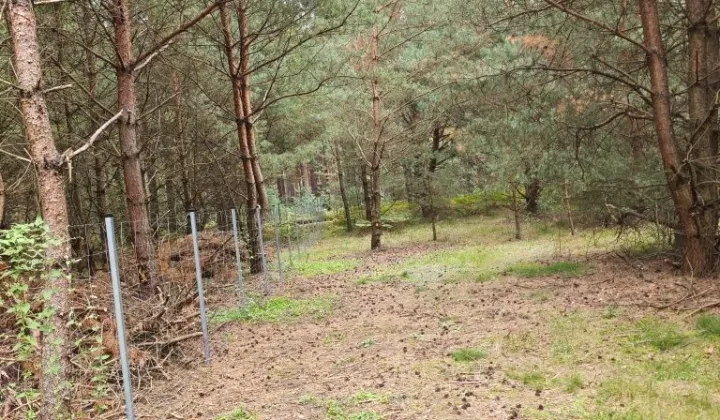 Działka budowlana Rojewo
