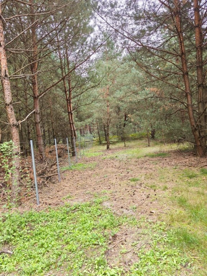 Działka budowlana Rojewo. Zdjęcie 1