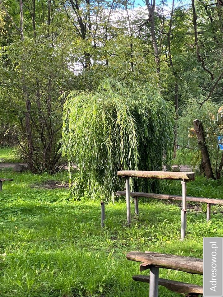 Lokal Dziesław. Zdjęcie 6