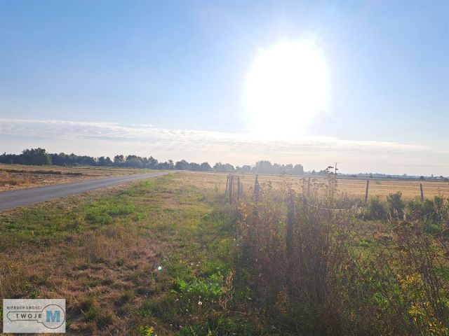 Działka rolna Czarzyzna. Zdjęcie 2