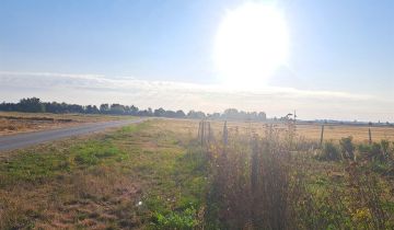 Działka rolna Czarzyzna