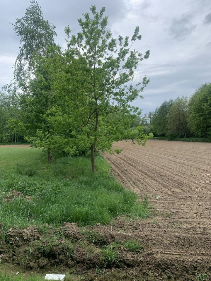 Działka budowlana Gdów. Zdjęcie 3