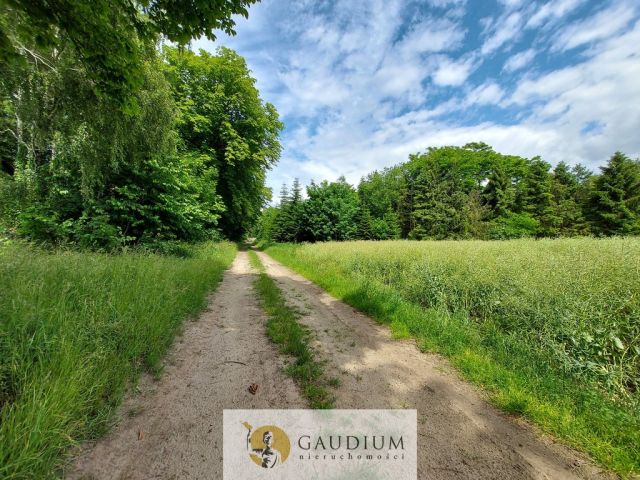 Działka Borkowo Lęborskie. Zdjęcie 2