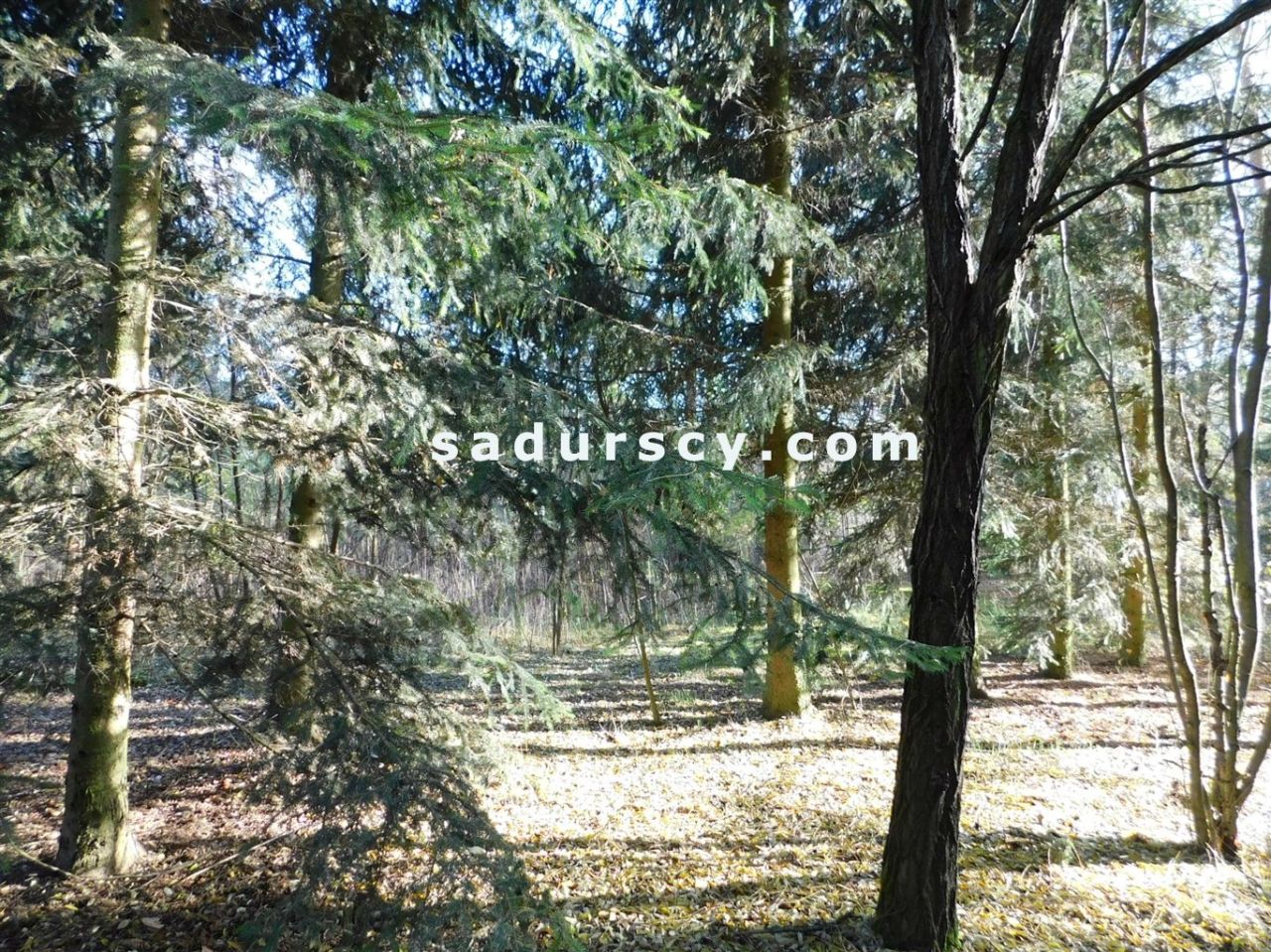 Działka budowlana Biały Ług. Zdjęcie 9