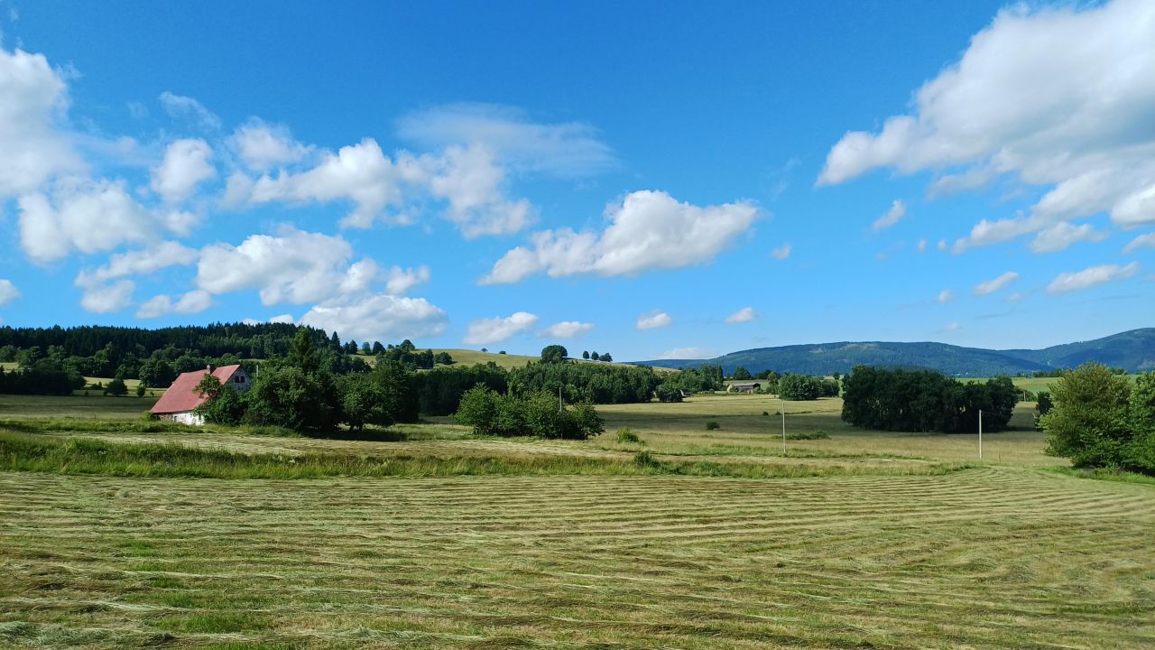Działka rolna Krajanów. Zdjęcie 7