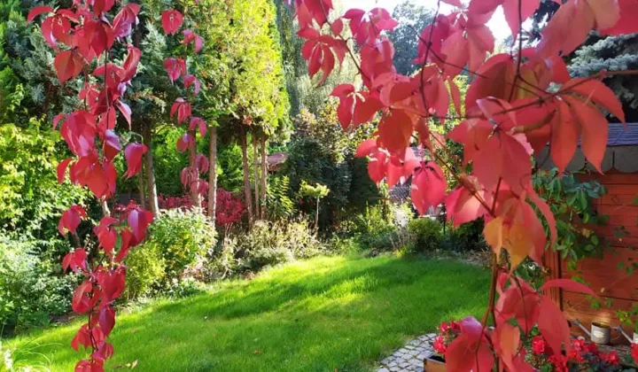 Mieszkanie 3-pokojowe Zielona Góra Raculka, ul. Karowa