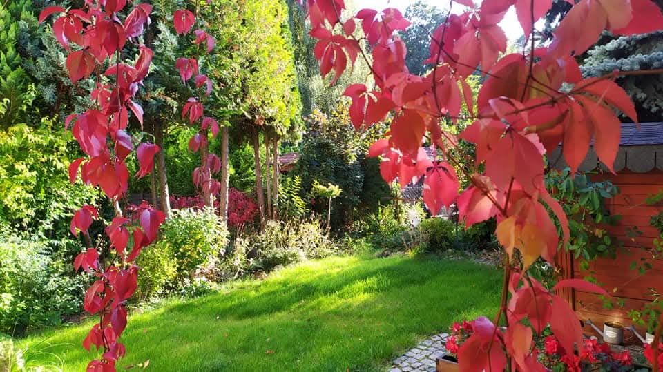 Mieszkanie 3-pokojowe Zielona Góra Raculka, ul. Karowa. Zdjęcie 1