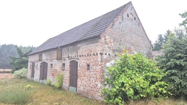Działka siedliskowa Chojno-Błota Małe. Zdjęcie 11