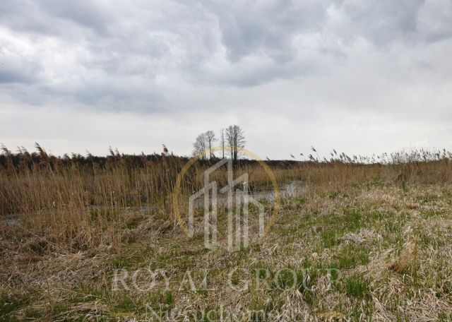 Działka rolna Giżyce. Zdjęcie 3