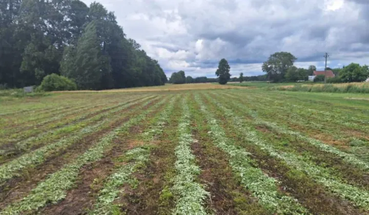 Działka budowlana Lipki Wielkie