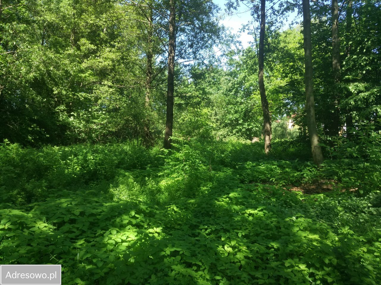 Działka budowlana Ostróda, ul. Celestyna Mrongowiusza. Zdjęcie 6