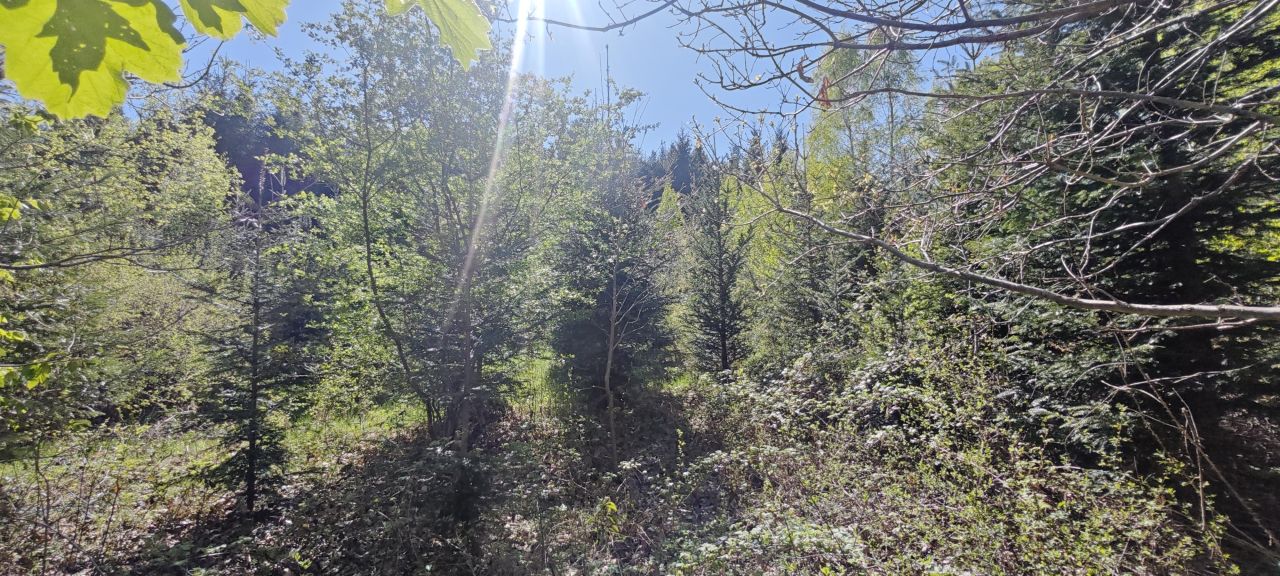 Działka rolna Tyrawa Solna. Zdjęcie 5