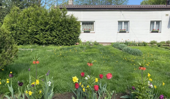 dom wolnostojący Warszawa Targówek, ul. Jeleniogórska