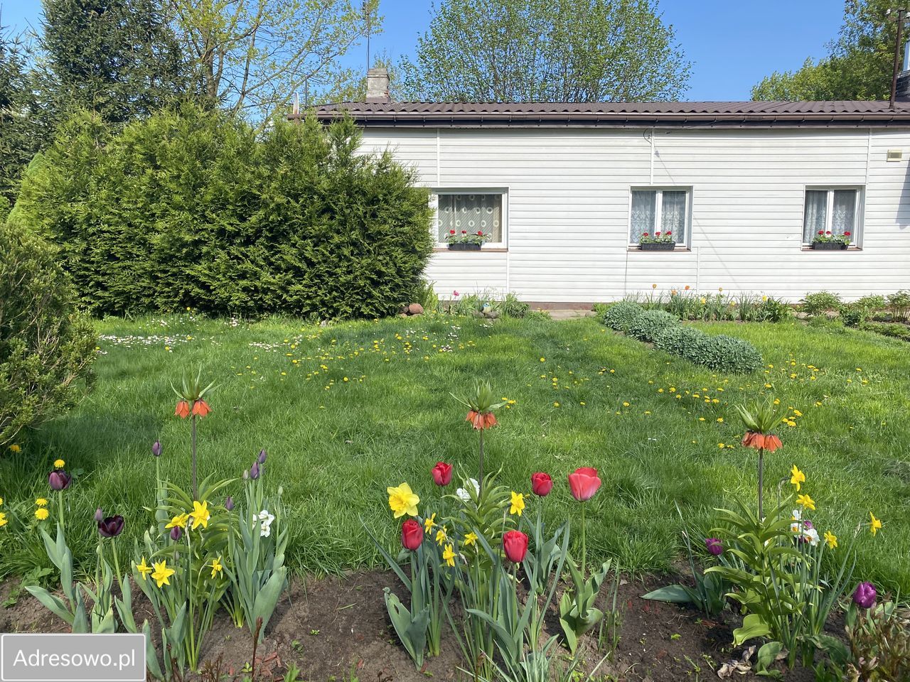 dom wolnostojący Warszawa Targówek, ul. Jeleniogórska. Zdjęcie 1