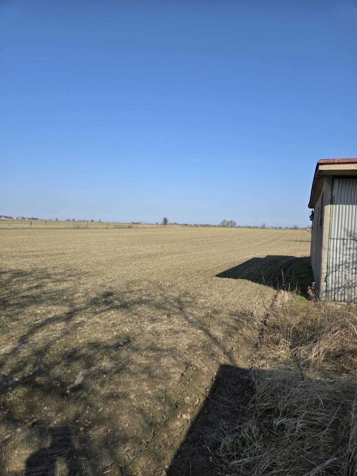 Działka rolna Śmiłowo, ul. Działkowa. Zdjęcie 6
